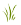Crabgrass Treatment