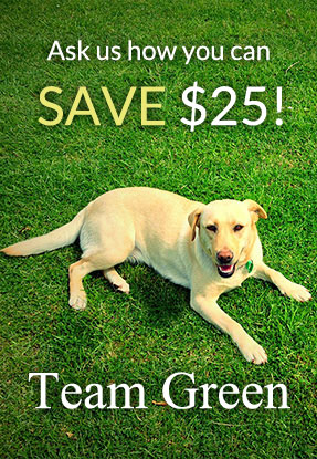 Ask how you can SAVE $25