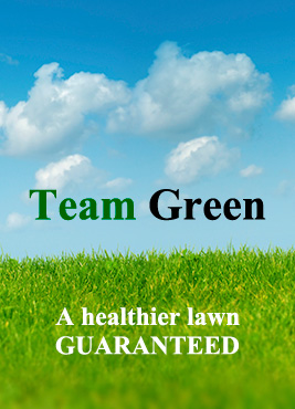 team-green-sky